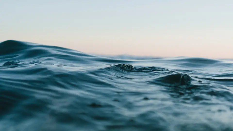 Estuarine Haloclines and Oceanic Pycnoclines: The Fluid Mechanics of Thermodynamic Barriers in Quranic Marine Physics