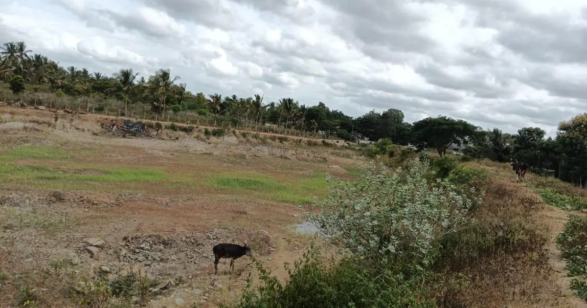 Erode District Administration Deploys Emergency Drinking Water Tankers to Alleviate Thalavadi Hills Drought